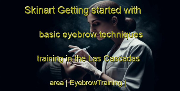 Skinart Getting started with basic eyebrow techniques training in the Las Cascadas area | EyebrowTraining | EyebrowClasses | SkinartTraining-Mexico